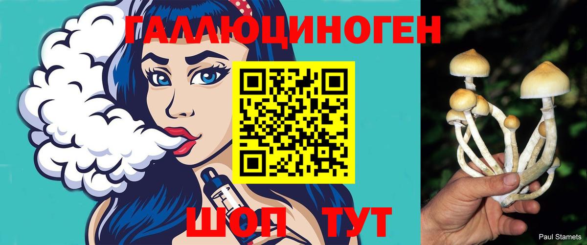 Псилоцибиновые грибы мухоморы  Вход с VPN  Ессентуки 